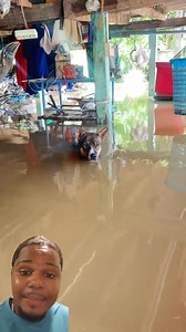 Observa este perro 😱 #reelsviralシfb #viralvideochallenge #fblifestyle #reelsfbシ #freestyle #perro | Dariel Reaccionado