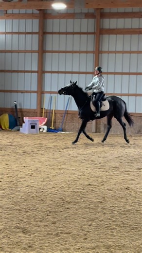 First rides are the best rides 🥰 Smart and witty and naturally well balanced! I have just always loved baby horses from 2 yr olds coming to the track in March to that first ride on a young horse fresh off the track! Theres a week of ground work to do before we really start under saddle but I just could not resist! Lots to do to get this horse feeling more comfortable and confident in her body. Ground work, hacking- especially on hills, soft tissue body work, chiro, stretching, and one of the mo