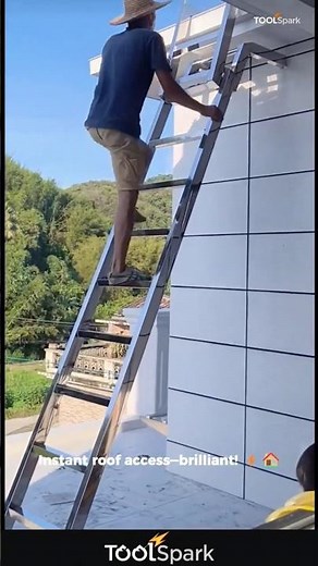 Outdoor Wall-Mounted Roof Access Ladder 🪜This thing is absolutely genius! 🤯🔥#homeimprovement #roof