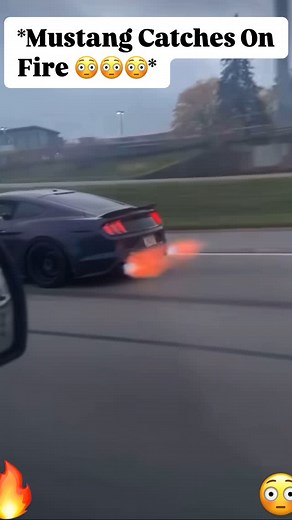 𝓒𝓱𝓻𝓲𝓼 𝓢𝓪𝓹𝓹𝓼 🔥💪🏿🛝 on Instagram: "Sheesh! 🔥🔥🔥 Owner: @datslow5.0 Follow ➡️ @csapps ⬅️ -Follow ➡️ @csapps ⬅️ ➖➖➖➖➖➖➖➖➖➖➖ 🔔Turn ON Post Notifications 🔥Share this video with your Friends 💗Double Tap #arizona #1MCPitCrew #instacars #camaro #auto #supercars #mustang #dodgeofficial #explorepage #s550#carsofinstagram #horsepower #exoticcars #392hemi #carstagram #ford #v8 #porsche #explore #modified #tuning #turbo #dodge #moparnation #motorsport #maserati #s550ponyaddicts #americanmini