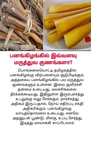 பனங்கிழங்கில் இவ்வளவு மருத்துவ குணங்களா? palm tree health benefits