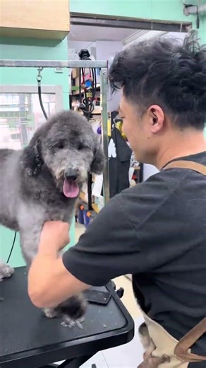 Cute Rhythmic Kid's Bath Time Adventure