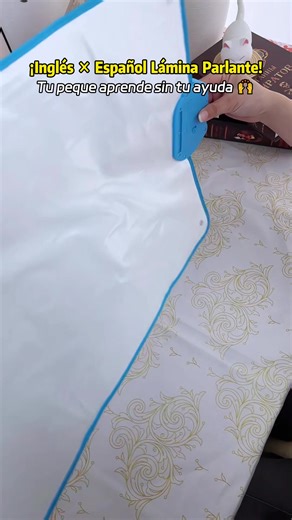 Enhancing Language Skills with Bilingual Toys