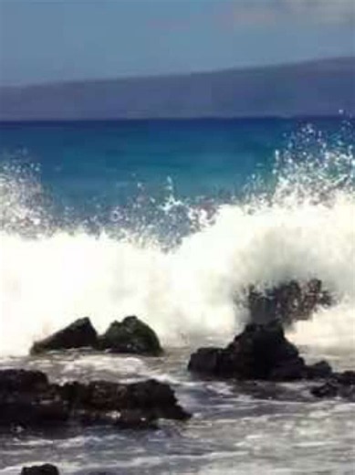 ￶ (@seresaku)’s video of by the sea lyrics