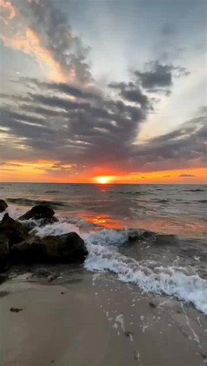 Understanding Halal and Haram in Islamic Teachings