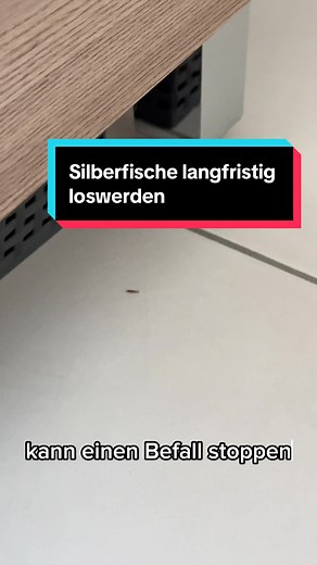 Silberfische effektiv bekämpfen mit Silberfische-EX Spray