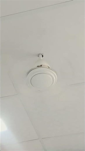 celling fan . .. running 2000k PT.H.