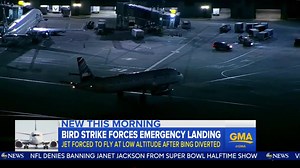 WATCH: Bird strike forces emergency landing; JetBlue aircraft forced to fly at low altitude after diversion: abcn.ws/2zJtppn | Good Morning America