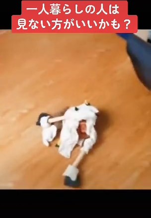 #心霊動画 #心霊映像 #恐怖 #ホラー #心霊 #日本ホラーチャンネル #ghost #靈異 #유령 #hantu #رعب #一人暮らし