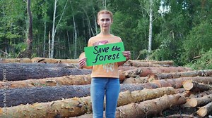 An activist girl with a poster "Save the forest" stands in the forest against the background of fallen trees. Deforestation. The concept of protecting nature and the environment.