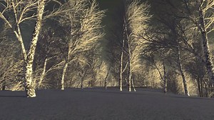 104K views · 1.3K reactions | Support the development:...