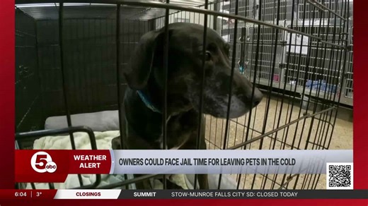 Get your pets indoors, or face criminal charges