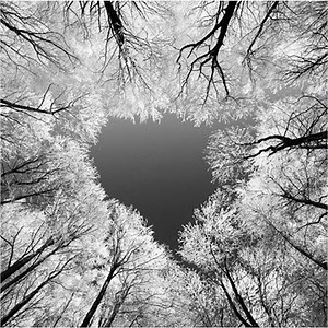 Corazon Vagabundo [1933]