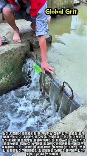 나무 판자를 이용한 농수로 수위 조절 원리와 방법 #worker #process #irrigationtechniques #farmhacks #watercontrol
