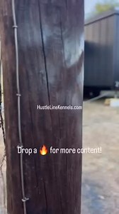59 reactions | Check out more of our viral dog kennel videos, custom...