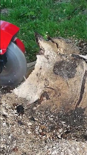 Homemade Stump Grinder - work