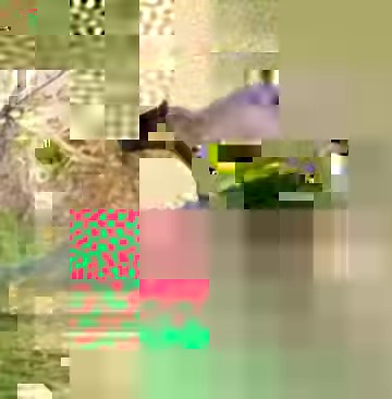 53K views · 1K reactions | Capybara hitching a free ride on what looks like to be an alligator and a caiman (in the water). How is this even possible? The capybara looks like the perfect meal for a crocodilian! 勞 VIA: Unique birds 礪 and Animals 璉 #capybara #alligator #caiman #crocodile #crocodilian #viralvideos #ehp #evergladesholidaypark #rhodent | Everglades Holiday Park | Facebook