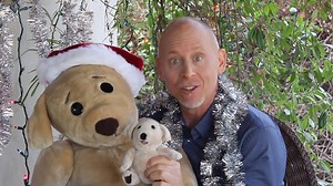 20K views · 340 reactions | Popcultcha are excited to announce that we are the new Australian home of David Strassman & Ted E. Bare! Just in time for Christmas, you can now shop the incredible range of talking Ted E. Bare Plush and pick one up of your very own! Find Ted E’s ‘mini-mes’ in various sizes at the link below!: popcultcha.com.au/davidstrassman | Popcultcha | Facebook