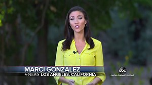 Koalas face a bleak future amid fires, infection, logging