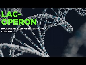 Lac Operon|Genetics| Molecular basis of inheritance | Class-12| NEET|CBSE BOARD-2025
