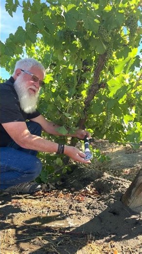 How to Check Pressure at the End of a Lateral Line - Dripline Care and Maintenance - Rain Bird