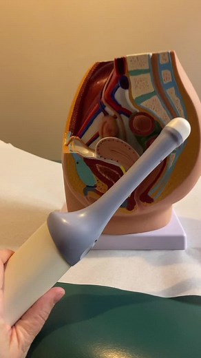 Understanding Pelvic Ultrasound: Everything You Need to Know