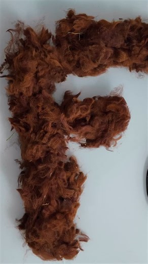 1.6K views · 11 comments |  Description: From pasture to hat  — I...