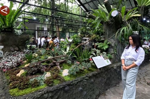 Kebun Raya Bogor lestarikan flora nusantara lewat Taman Begonia - ANTARA News