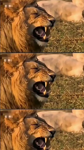 Best Fails & Funny Moments Compilation"