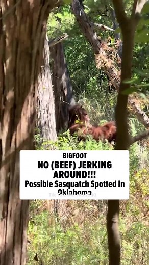 Best Sasquatch Sighting TikTok Video