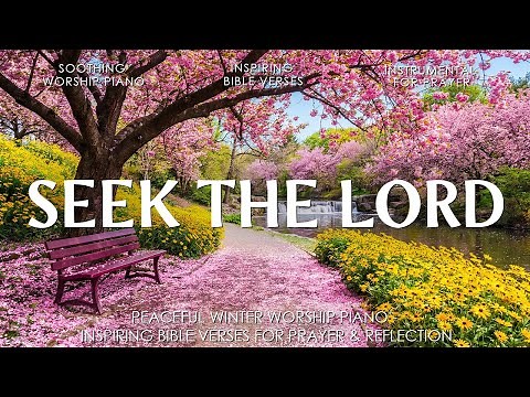 Seek The Lord – Soothing Worship Piano & Inspiring Bible Verses With Beautiful Spring Cherry Blossom