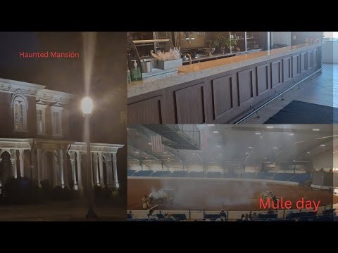 A Week in my Life Vlog! (A day in my life | festivals | new adventures)