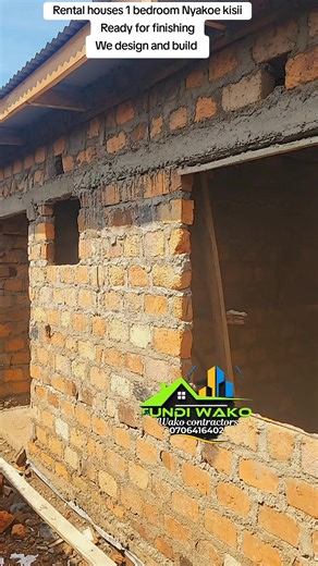 Exploring Rental Houses with Hidden Roofs in Nyakoe Kisii