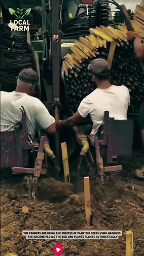 the process of planting seeds using machines #smartfarming #agriculture #modernagriculture