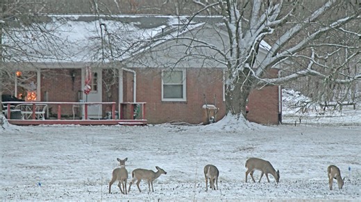 Hunters harvested 13,476 deer during muzzleloader season. Here's a breakdown of the stats.