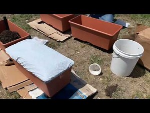 Earth box container gardening