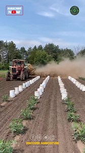 57K views · 39 reactions | Introducing the Organic Mulching Machine!...
