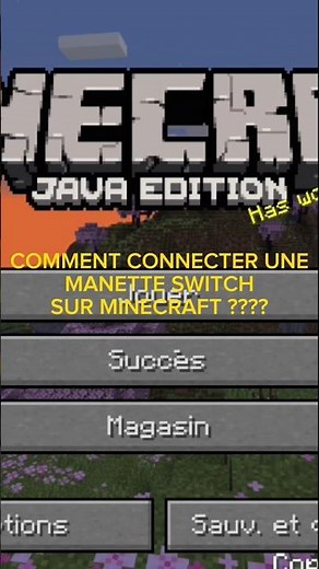 COMMENT CONNECTER UNE MANETTE SWITCH SUR MINECRAFT ???#minecraft #switch #tutorial #tuto #pourtoi