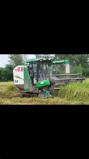 Quick look at our CFD8 Combine Harvester #agriculturalmachinery #harvest #harvester #agriculture