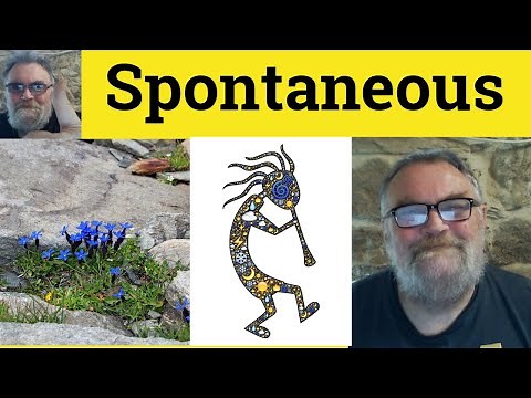 😎 Spontaneous Meaning - Spontaneity Examples - Spontaneous Defined - Spontaneous Spontaneity