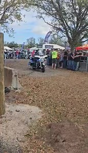 The Budweiser Clydesdale at Sopotnicks Cabbage Patch Bar during Daytona Bike Week 2024 | Old School Biker Magazine