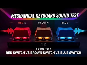 Red Switch vs Brown Switch vs Blue Switch | Mechanical Keyboard Sound Test & Comparison