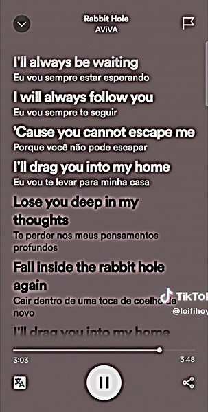 Exploring the Rabbit Hole with AViVA | Lyrics and Song Details