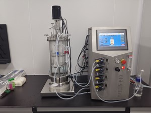 [Hot Item] 5L Lab Glass Bioreactor Fermenter Glass Pressure Vessel Small Bioreactor