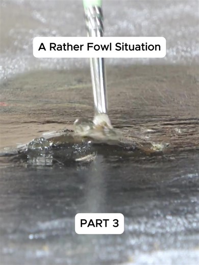 Oil Painting Restoration Techniques for Canvas Art