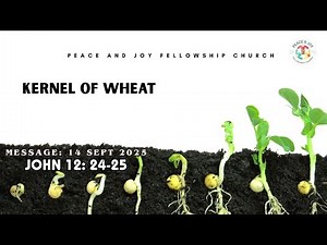 Kernel of wheat - MESSAGE - 14 SEPT 2025