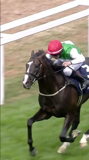 PYLEDRIVER 🤝 2022 King George VI #KingGeorge