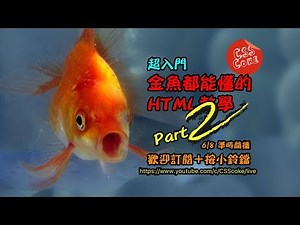 超入門 - 金魚都能懂的HTML教學-Part2 | 網頁教學 | HTML教學 | 網頁設計