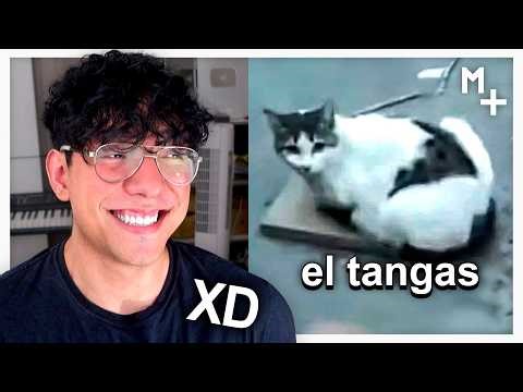 SI TE RIES SE ACABA EL VIDEO 46 🤣💥