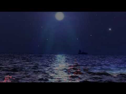 Crosby Stills and Nash The Southern Cross - VH1 The Long Version